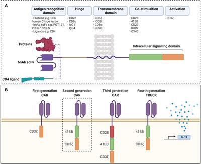Evolving Strategies to Eliminate the CD4 T Cells HIV Viral Reservoir via CAR T Cell Immunotherapy